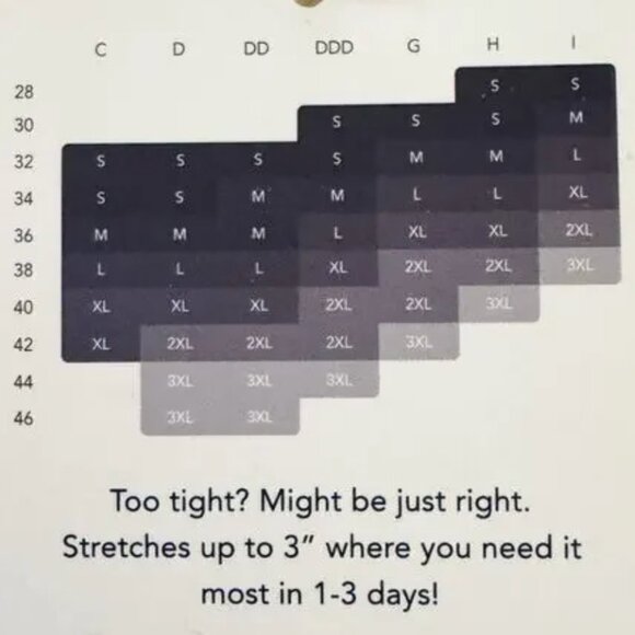 Evelyn & Bobbie Beyond Bra Wirefree Amazing Tech Smooth Soft Size L Mica NWOT - Picture 9 of 9